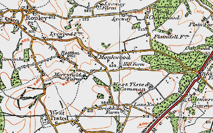 Old map of Monkwood in 1919
