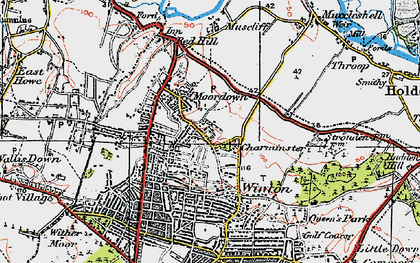 Old map of Moordown in 1919