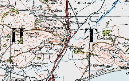 Old map of Brading Down in 1919