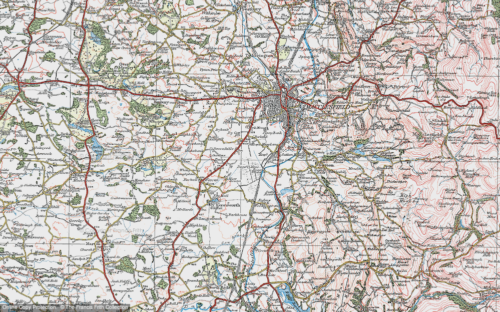 Street Map Of Moss Trail