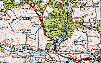 Old map of Bodiniel in 1919