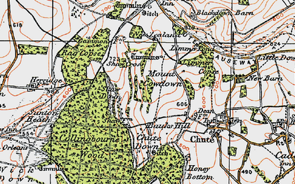 Old map of Mount Cowdown in 1919
