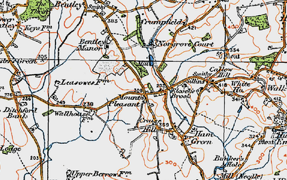 Old map of Mount Pleasant in 1919