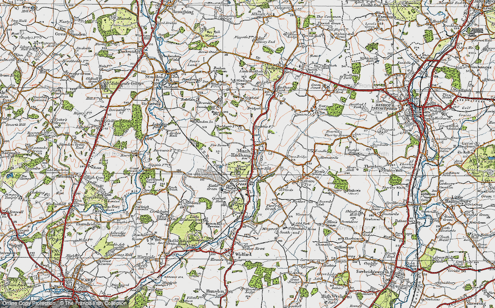 Old Map of Much Hadham, 1919 in 1919