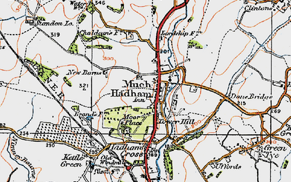 Old map of Much Hadham in 1919