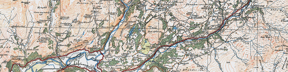 Old map of Nannau in 1921