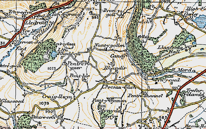 Old map of Nant-y-gollen in 1921