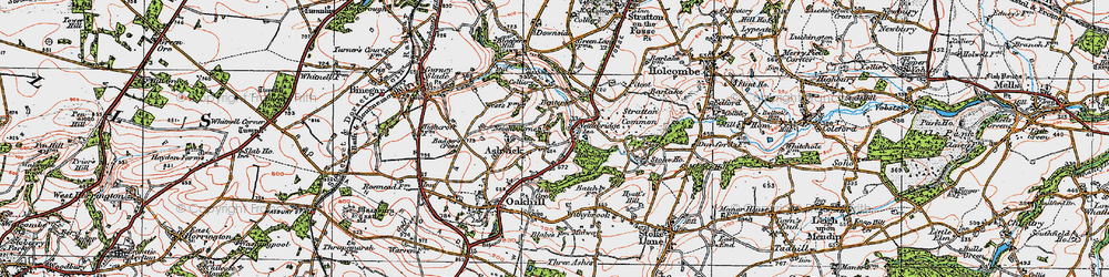 Old map of Neighbourne in 1919