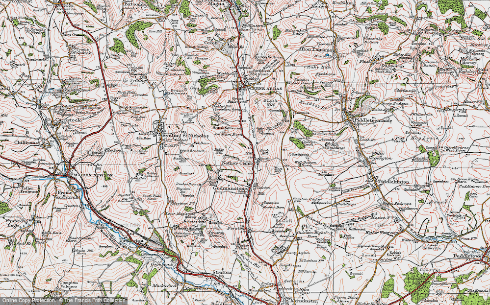 Historic Ordnance Survey Map of Nether Cerne, 1919