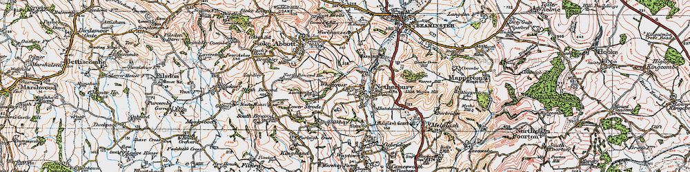 Old map of Netherbury in 1919
