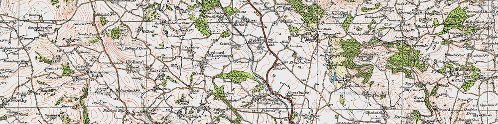 Old map of Nethercott in 1919