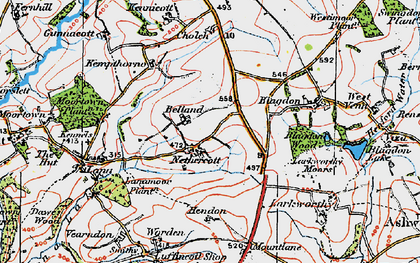 Old map of Blagdon Wood in 1919