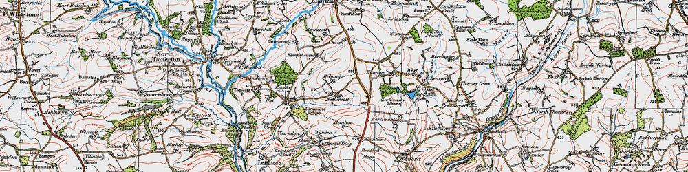 Old map of Blagdon Wood in 1919