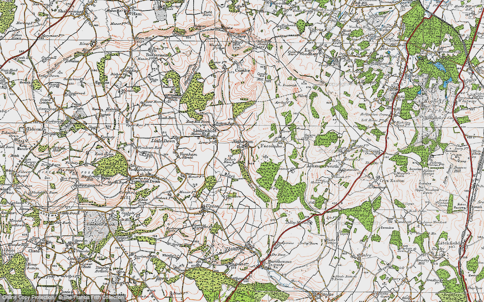 Old Map of Netherton, 1919 in 1919