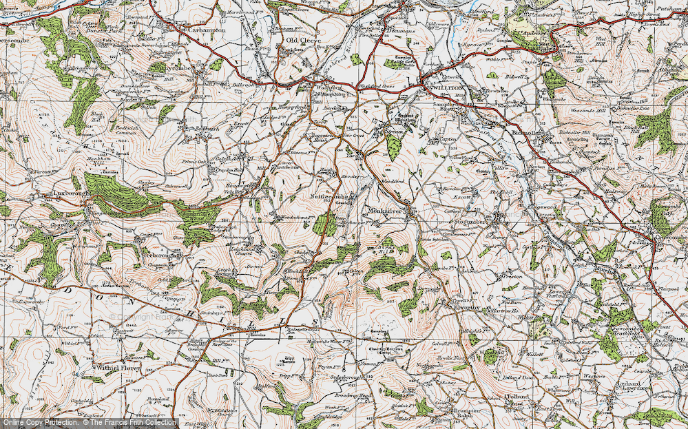Old Map of Nettlecombe, 1919 in 1919