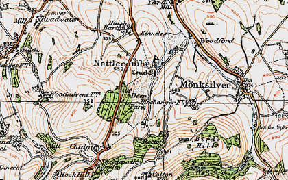 Old map of Nettlecombe in 1919