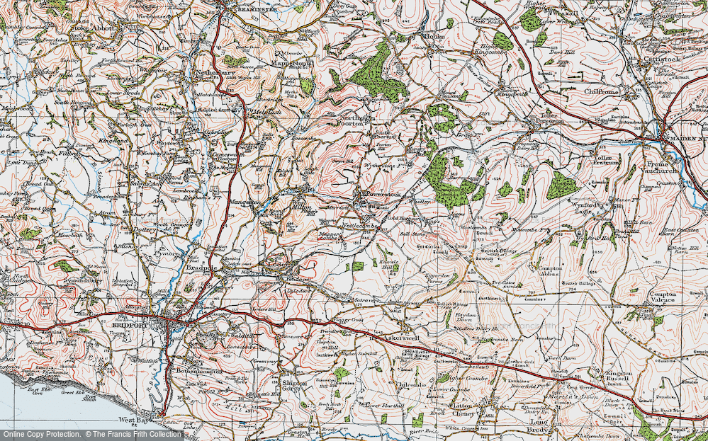 Old Map of Nettlecombe, 1919 in 1919