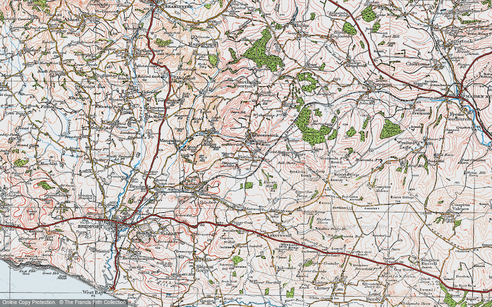 Nettlecombe, 1919