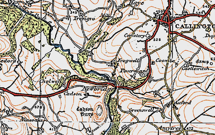 Old map of Newbridge in 1919