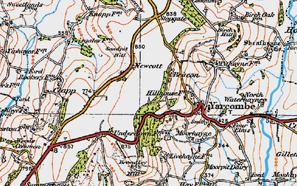 Old map of Newcott in 1919