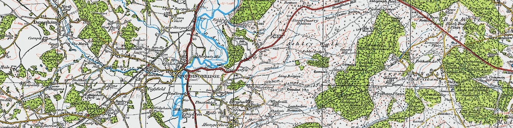 Old map of Brune's Purlieu in 1919
