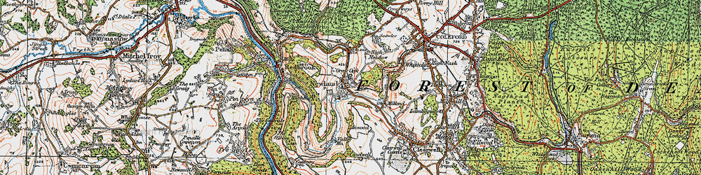 Old map of Newland in 1919
