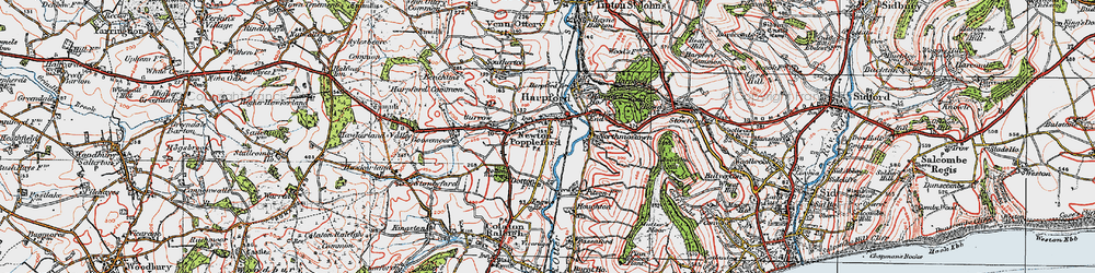 Old map of Newton Poppleford in 1919