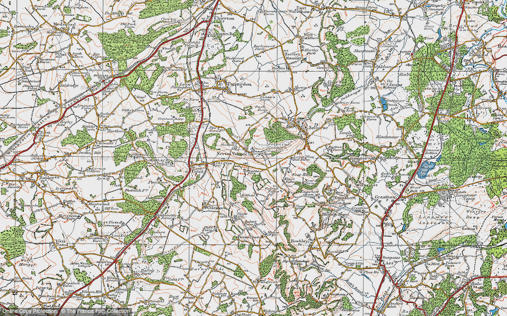 Old Map of Newton Valence, 1919 in 1919