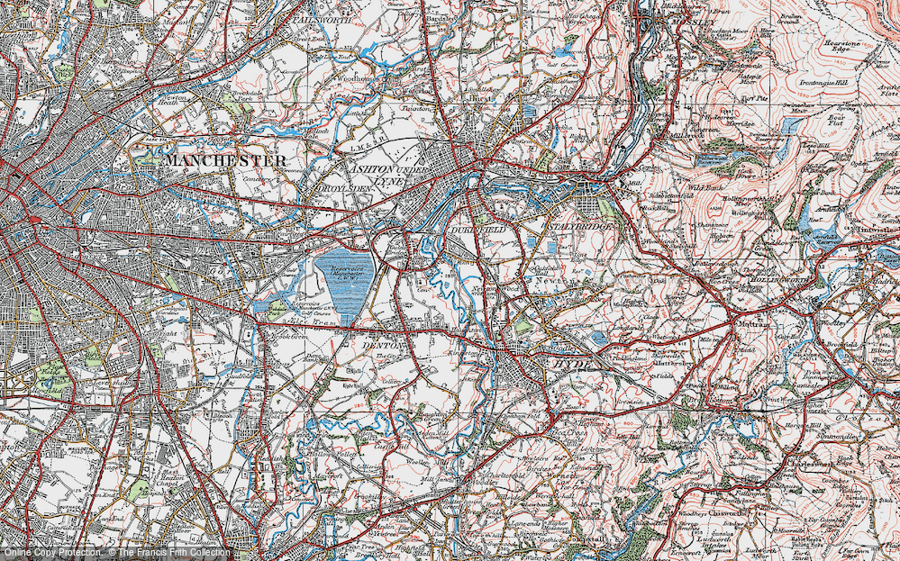 Old Map of Newton Wood, 1924 in 1924