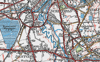 Old map of Newton Wood in 1924