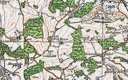 Old map of Caldicott in 1919