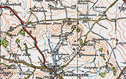 Old map of Beaminster Down in 1919