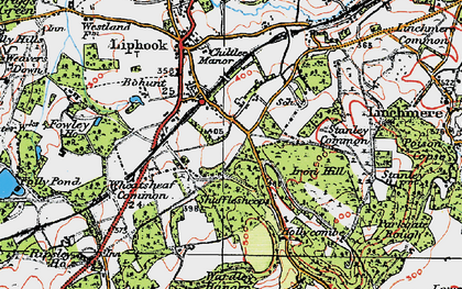Old map of Wheatsheaf Common in 1919