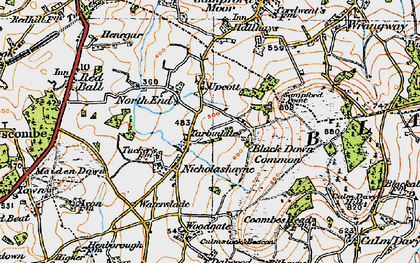 Old map of Black Down Common in 1919