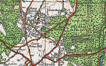 Old map of Wimberry Slade in 1919