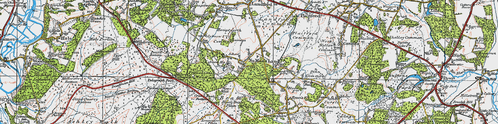 Old map of Bramshaw Wood in 1919