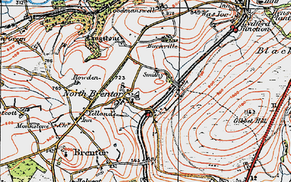 Old map of North Brentor in 1919