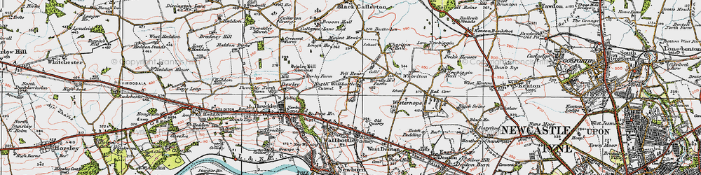Old map of North Walbottle in 1925