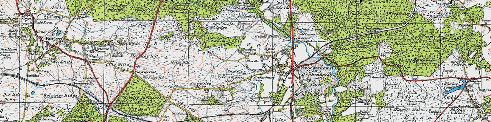 Old map of Beachern Wood in 1919