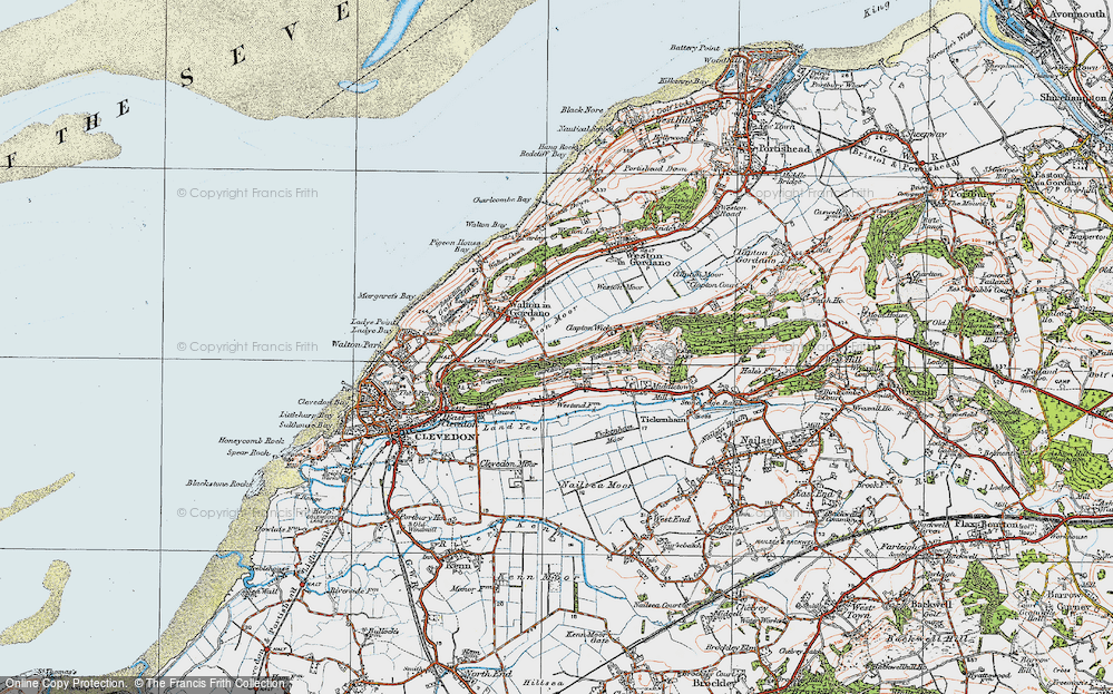 Old Map of Norton's Wood, 1919 in 1919