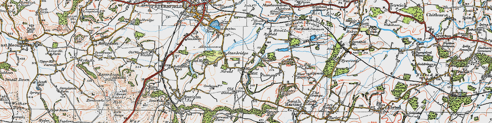 Old map of Nursted in 1919