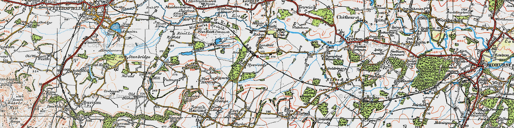 Old map of Nyewood in 1919