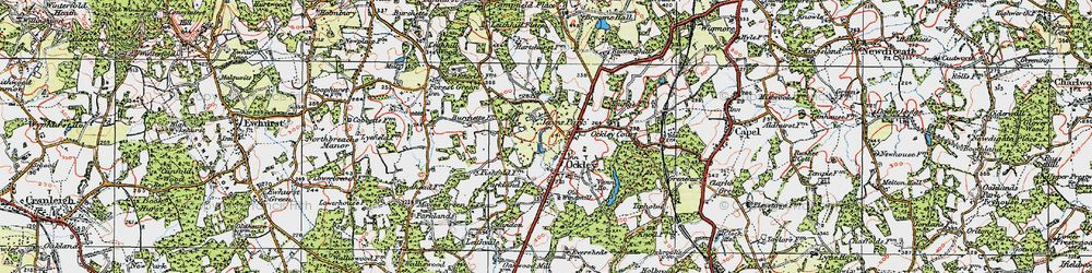 Old map of Ockley in 1920