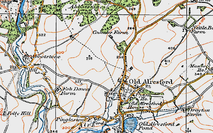 Old map of Abbotstone Woods in 1919