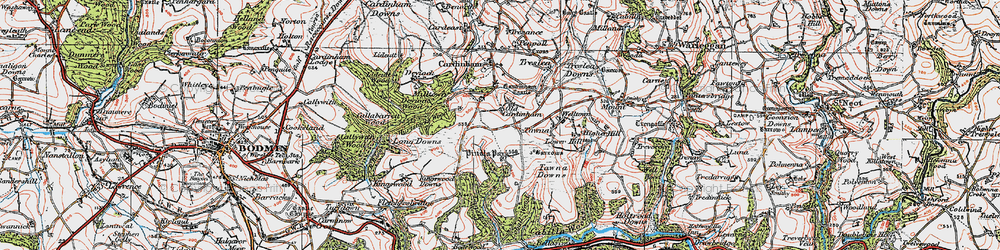 Old map of Old Cardinham Castle in 1919
