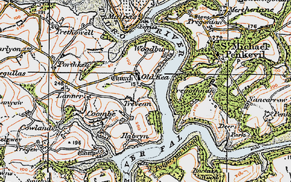 Old map of Borlase Wood in 1919