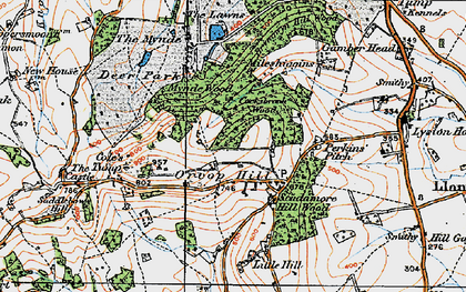 Old map of Orcop Hill in 1919