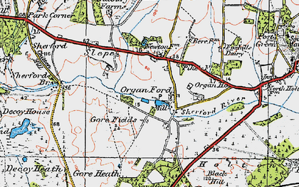 Old map of Organford in 1919