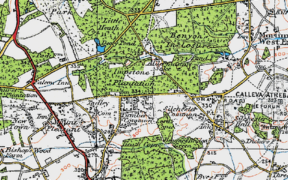 Old map of Pamber Heath in 1919