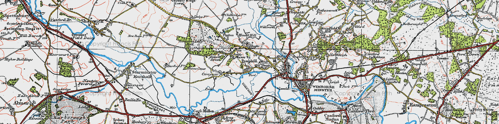 Old map of Pamphill in 1919